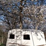 caravane rapido snack merisier en fleur