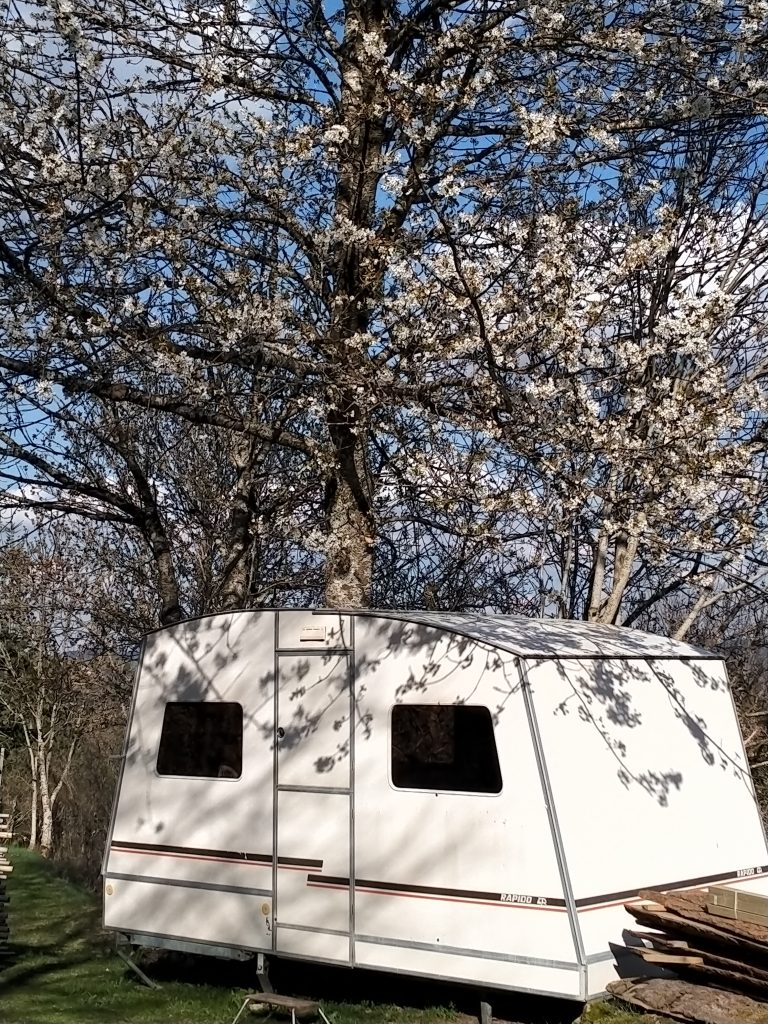 caravane rapido snack merisier en fleur