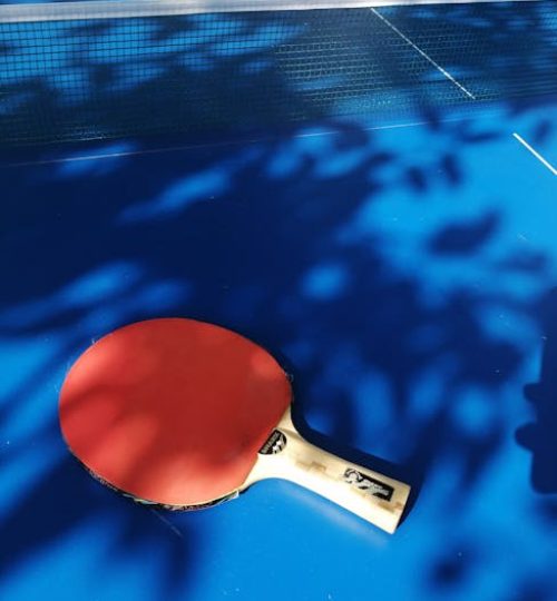A red table tennis racket on a blue table with shadow patterns in Obninsk, Russia.